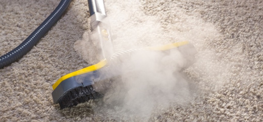 Water Damage and Pest Risks: Why Reztor Leads Australia in Wet Carpet Drying